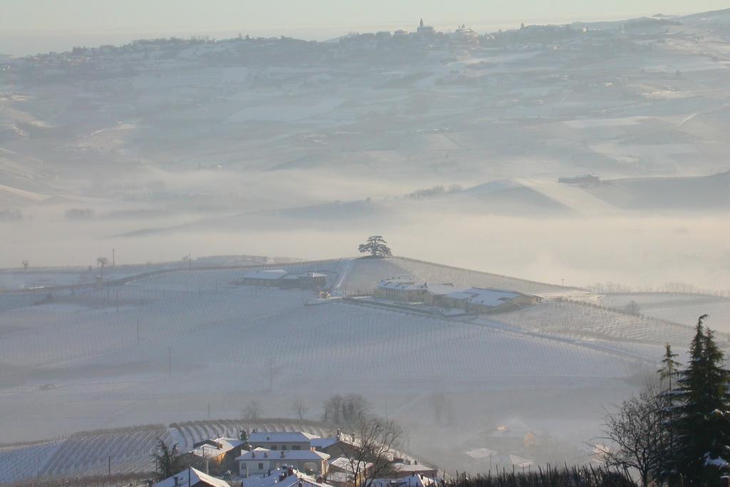 Cascina Rocca Agriturismo B&B La Morra Kültér fotó