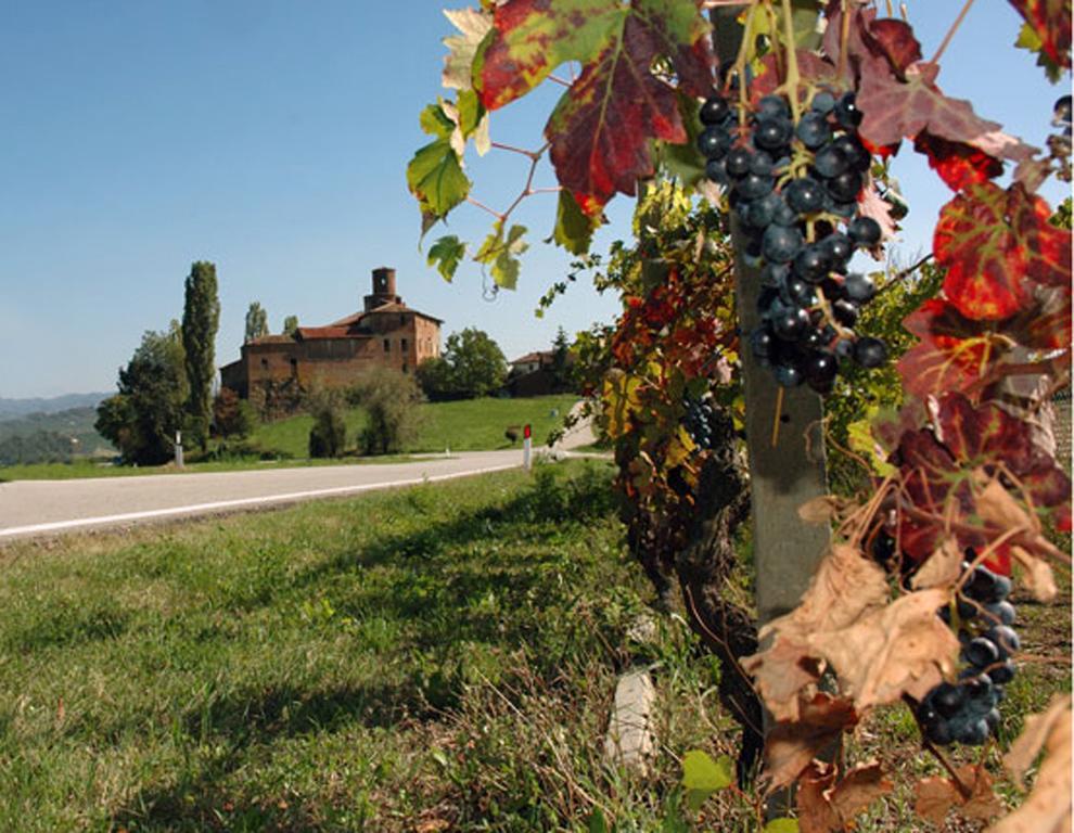 Cascina Rocca Agriturismo B&B La Morra Szoba fotó